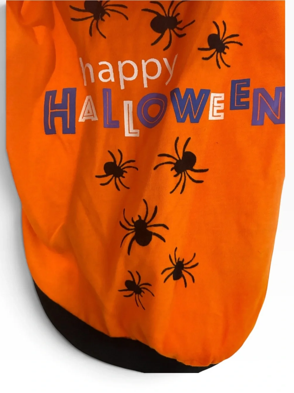 Thrills & Chills Dog/Cat Happy Halloween Orange Costume